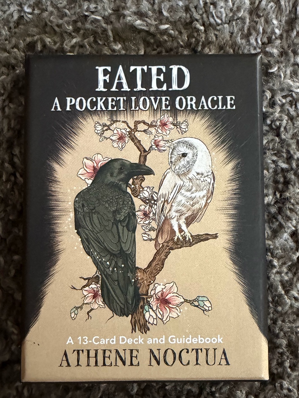 FATED A Pocket Love Oracle Deck by ATHENE NOCTUA - Black & Cream Artwork